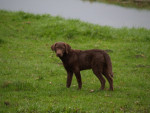 4 maanden